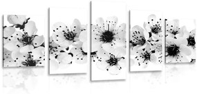 Εικόνα 5 τμημάτων άνθη κερασιάς σε μαύρο & άσπρο - 200x100