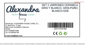 Σετ 2 Βάζων Alexandra House Living Λευκό Γκρι Κεραμικά