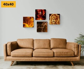 Σετ εικόνων αφηρημένα ζώα - 4x 60x60
