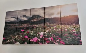 5 μέρη εικόνα λιβάδι ανθισμένα λουλούδια