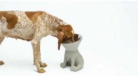 Ταΐστρα σκύλων United Pets Up Elisabeth Γκρι Ανοξείδωτο ατσάλι πολυαιθυλένιο 1 L