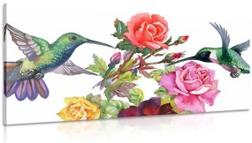 Εικόνα κολίβρια με λουλούδια - 100x50