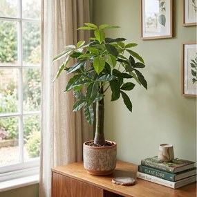 Τεχνητό Φυτό Εσωτερικού & Εξωτερικού Χώρου 95cm 80738