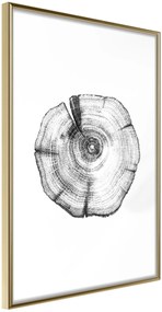 Αφίσα - Tree Rings - 20x30 - Χρυσό - Χωρίς πασπαρτού