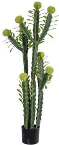 Τεχνητό Δέντρο Cereus Jamacaru Cactus 20193 120cm Beige-Green Globostar Polyurethane