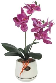 Τεχνητή Ορχιδέα Σε Κασπώ 00-00-23333-3 10x36cm Multi-Fuchsia Marhome Ceramic,Plastic