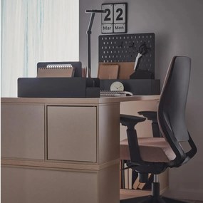 Βάση οργάνωσης Young-Mauro