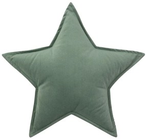 Velvet Star Olive
