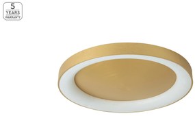 SE LED 80 AMAYA CEILING BRUSHED GOLD Δ3