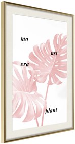 Αφίσα - Pale Pink Monstera - 20x30 - Χρυσό - Με πασπαρτού