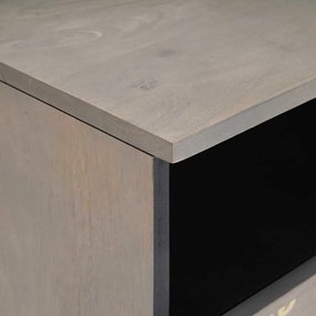 vidaXL Ντουλάπι TV Γκρι και Χρυσό 80 x 33.5 x 46 εκ. Μασίφ ξύλο μάνγκο