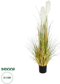 Τεχνητό Διακοσμητικό Φυτό Γρασίδι Πάμπας Artificial Garden PAMPAS GRASS 20105 Globostar-20105-Πράσινο 20105