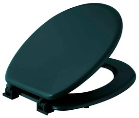 Καπάκι Λεκάνης (45.5x37) L-C Vitamine Blue/Emerald 1802157