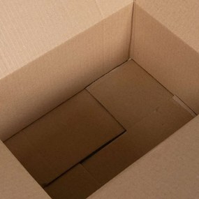 vidaXL Πτυσσόμενο Κουτί 50 τεμ. Φυσικό 30 x 21,5 x 14 εκ. Χαρτόνι