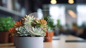 Intra Συλλεκτικό Ξύλινο Παζλ Plywood 4mm - Παχύφυτα σε γλάστρα σε ξύλινο τραπέζι Σε Ξύλινο Κουτί - Διαστάσεις: 10x10 cm – 25 κομμάτια