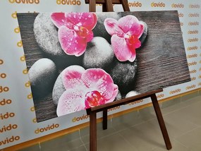 Εικόνα αρμονικής σύνθεσης με λουλούδια ορχιδέας - 100x50