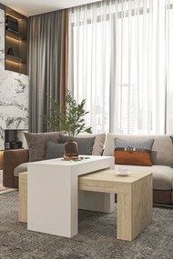 Stewehome Σετ 2 μοντέρνα τραπεζάκια σαλονιού από σαντουλάμ 50x90 cm