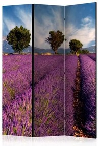 Διαχωριστικό με 3 τμήματα - Lavender field in Provence, France [Room Dividers]