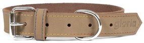 Κολλάρο Σκύλου Gloria Oasis Μπεζ (1,2 x 35 cm)