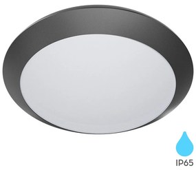 Φωτιστικό Οροφής Braytron BG37-00702 Γκρι (Grey)
