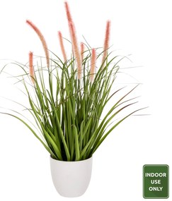 ΔΙΑΚΟΣΜΗΤΙΚΟ ΣΥΝΘΕΤΙΚΟ ΦΥΤΟ HM4029 BRISTLEGRASS ΣΕ ΓΛΑΣΤΡΑ Φ14,5x13-62Yεκ.