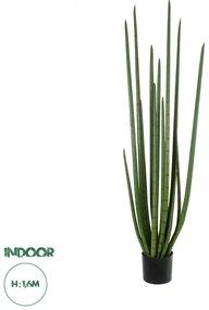20211 GloboStar® Artificial Garden SANSEVIERIA CYLINDRICA 20211 Τεχνητό Διακοσμητικό Φυτό Σανσεβιέρια Υ160cm