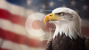 Intra Συλλεκτικό Ξύλινο Παζλ Plywood 4mm - Φαλακρός αετός με φόντο αμερικανική σημαία Σε Ξύλινο Κουτί - Διαστάσεις: 10x10 cm – 25 κομμάτια