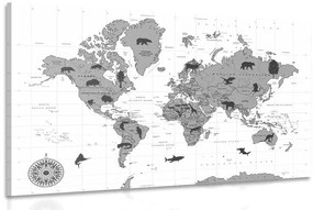 Χάρτης εικόνων με ζώα σε μαύρο & άσπρο - 90x60