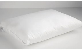SOFT PILLOW ΜΑΞΙΛΑΡΙ 50Χ70