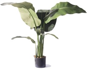 Supergreens Τεχνητό Δέντρο Πουλί του Παραδείσου Strelizia Nicolai Πράσινο 120 εκ