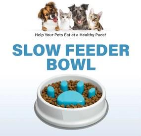 Ταΐστρα Μπολ Σκύλου - Γάτας Slow Feeder Bowl