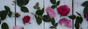 Φανταστείτε μια όμορφη νεκρή φύση με τριαντάφυλλα - 150x50