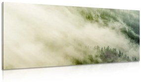 Εικόνα ομιχλώδες δάσος - 100x50