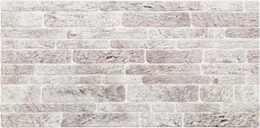 vidaXL Πάνελ τοίχου 10 pcs Ανοιχτό Γκρι και Λευκό 100 x 50 cm