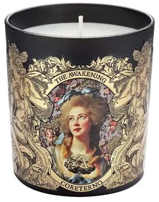 Αρωματικό Κερί The Awakening CRT-APH04 250gr Multi Coreterno Paraffin