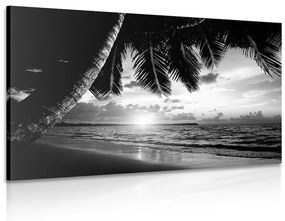 Ασπρόμαυρη εικόνα της ανατολής του ηλίου σε μια παραλία της Καραϊβικής