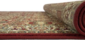 Χαλί (160x235) Βιοκαρπέτ Kirman 6809-1018 Red