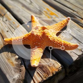 Intra Συλλεκτικό Ξύλινο Παζλ Plywood 4mm - Πορτοκαλί αστερίας σε ξύλινο τραπέζι Σε Ξύλινο Κουτί - Διαστάσεις: 10x10 cm – 25 κομμάτια