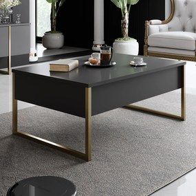 Τραπεζάκι Σαλονιού Ανθρακί / Χρυσό FLUPER 90x60x40