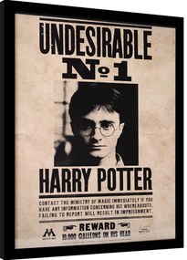 Αφίσα σε κορνίζα Harry Potter - Undesirable N.1