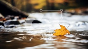 Intra Συλλεκτικό Ξύλινο Παζλ Plywood 4mm - Μονό κίτρινο φύλλο που επιπλέει στο νερό Σε Ξύλινο Κουτί - Διαστάσεις: 10x10 cm – 25 κομμάτια