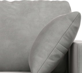 vidaXL Καναπές 2 pcs Ανοιχτό γκρι