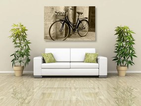 Εικόνα ρουστίκ ποδήλατο σε σχέδιο σέπια - 60x40