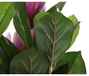 Διακοσμητικό Φυτό DKD Home Decor Ροζ Πράσινο PE (60 x 60 x 125 cm)
