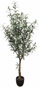 Τεχνητό Δέντρο Ελιά 7660-6 65x65x150cm Green Supergreens Πολυαιθυλένιο