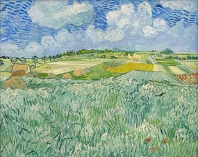 Αναπαραγωγή Plain at Auvers, 1890, Vincent van Gogh