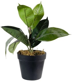 Τεχνητό Φυτό Φίκος Elastica 0670-6 15x30cm Green Supergreens Polyethylene