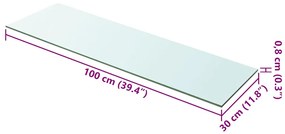vidaXL Ράφια Πάνελ 2 τεμ. Διάφανα 100 x 30 εκ. Γυάλινα