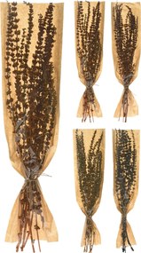 Φύλλα Αποξηραμένα  Palang Grass Δεμένα Σε Χάρτινη Θήκη Σε 4 Ποικιλίες
