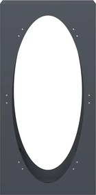vidaXL Ράφι Καυσόξυλων Ανθρακί 50x23x100 εκ. Χάλυβας ψυχρής έλασης